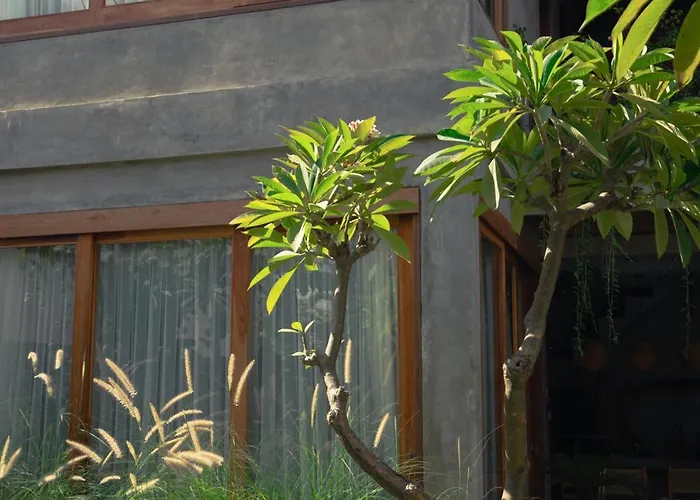 Buena Surf Culture Jungle Escape In Bingin
